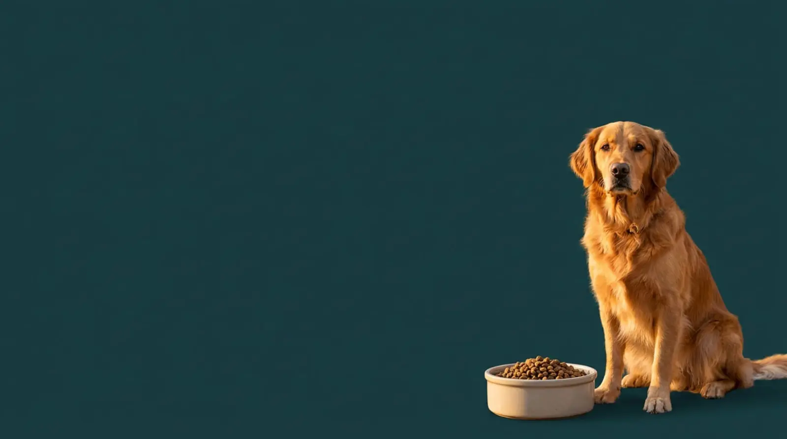 Pet Horoscope