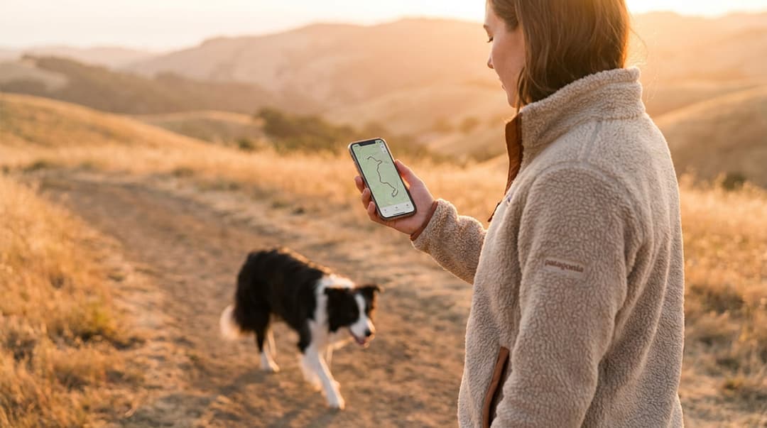 Dog Walking Calculator tool hero image