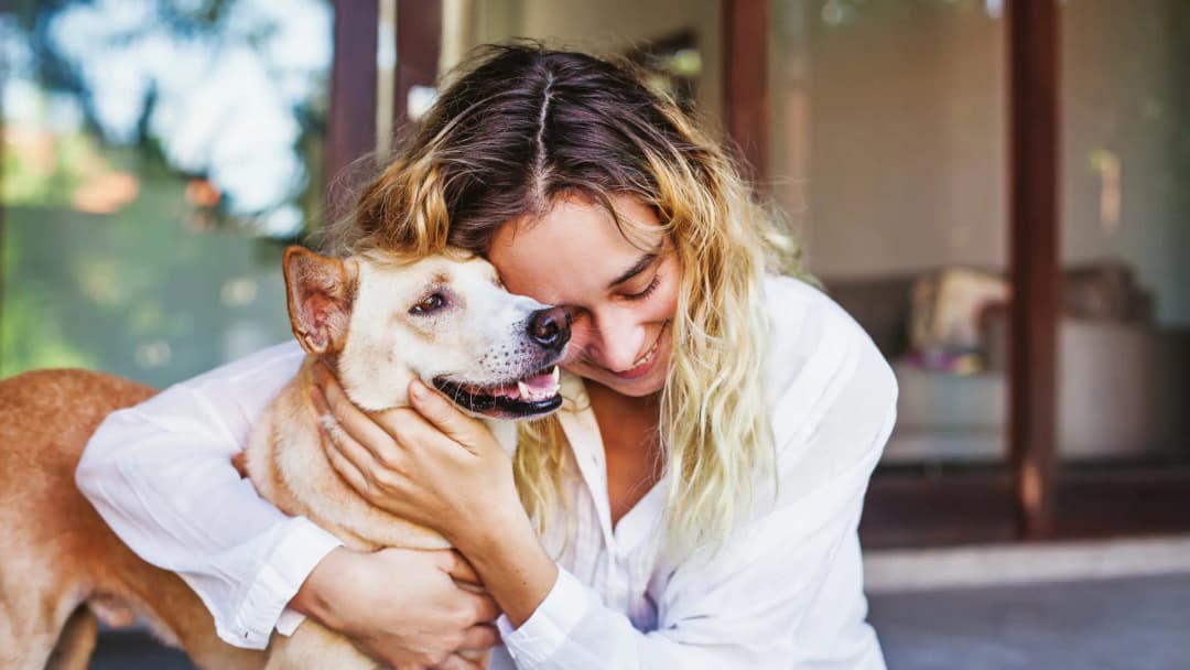 Pet Age Calculator tool hero image